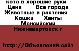 кота в хорошие руки › Цена ­ 0 - Все города Животные и растения » Кошки   . Ханты-Мансийский,Нижневартовск г.